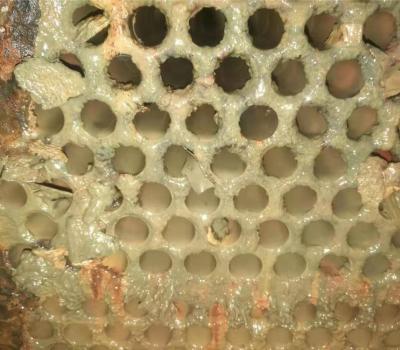 螺桿機(jī)冷凝器清洗 (8)