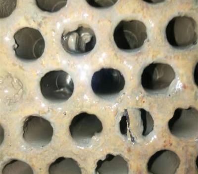 螺桿機(jī)冷凝器清洗 (13)